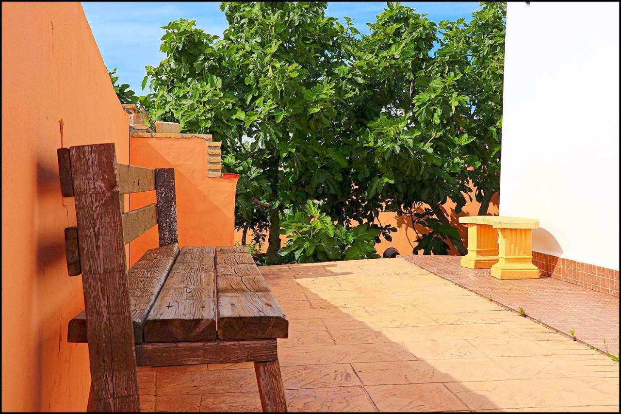 Chalet Rustico Roche コニル・デ・ラ・フロンテラ エクステリア 写真